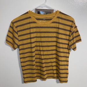 Pac Sun Basics Crop Tshirt